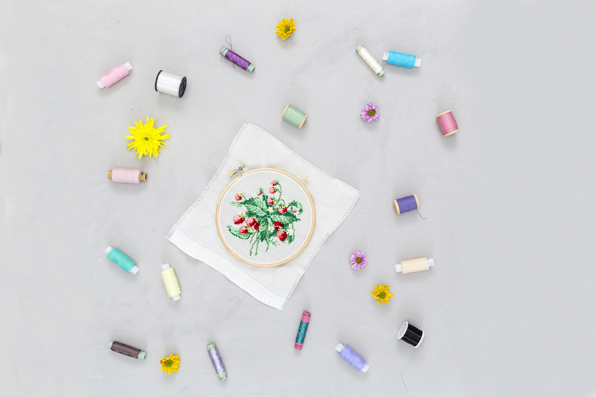 Compact class collage with embroidered samples